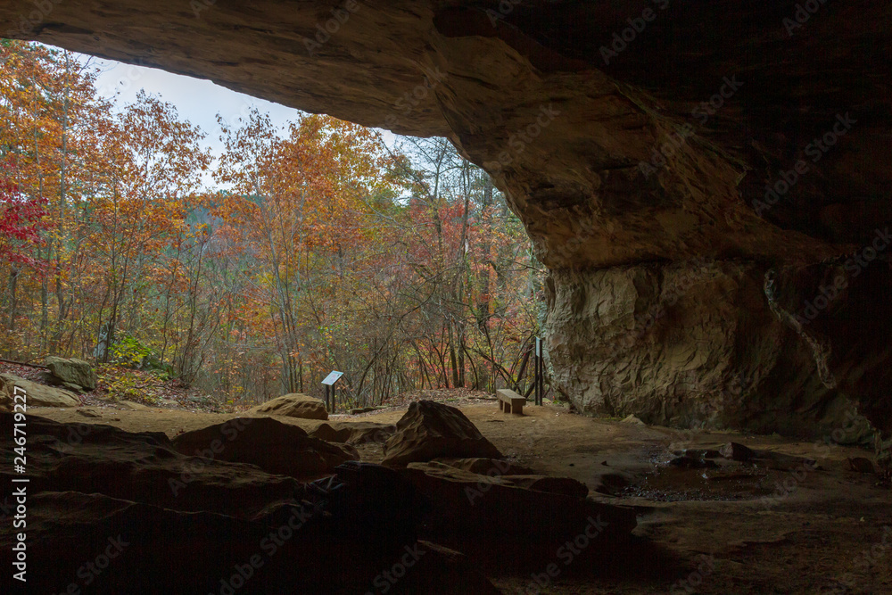 Obraz premium Petit Jean State park