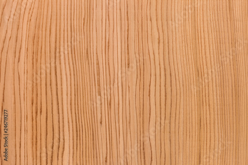 木根がきれいなスギ板