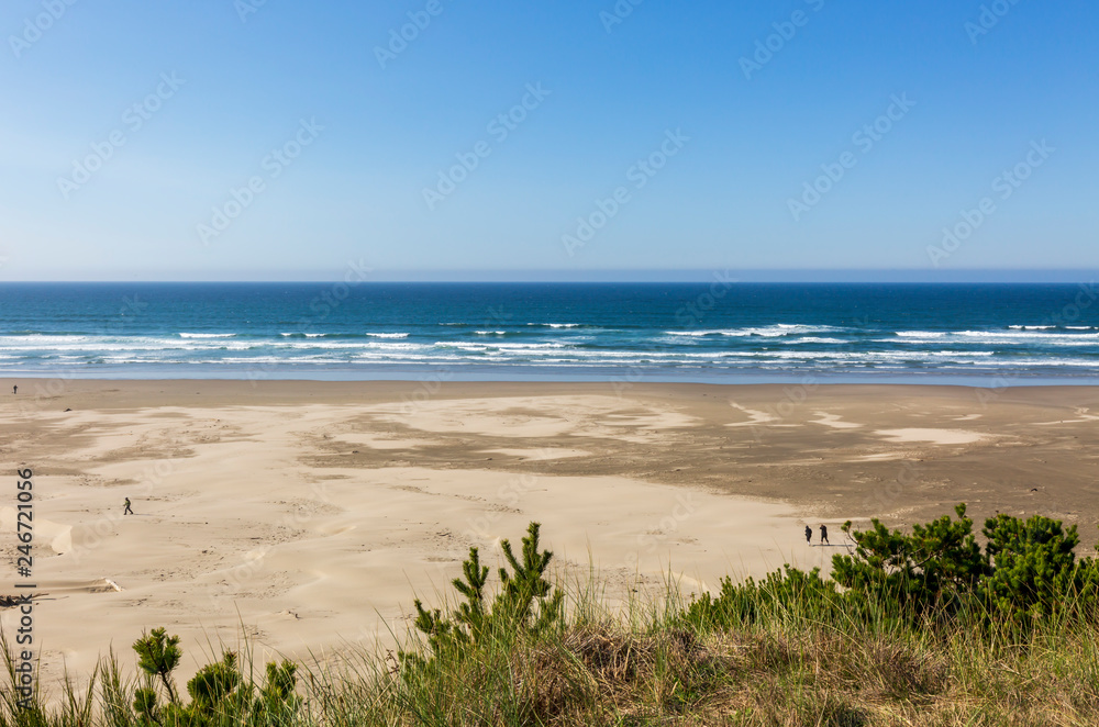 The Beach on the coast at Newport Oregon