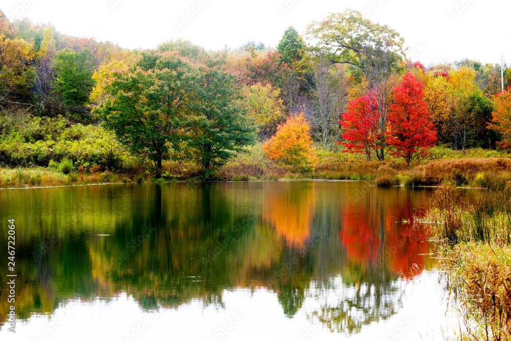 Water reflections of fall colors in the Smokies. Water reflections of fall colors in the Smokies.