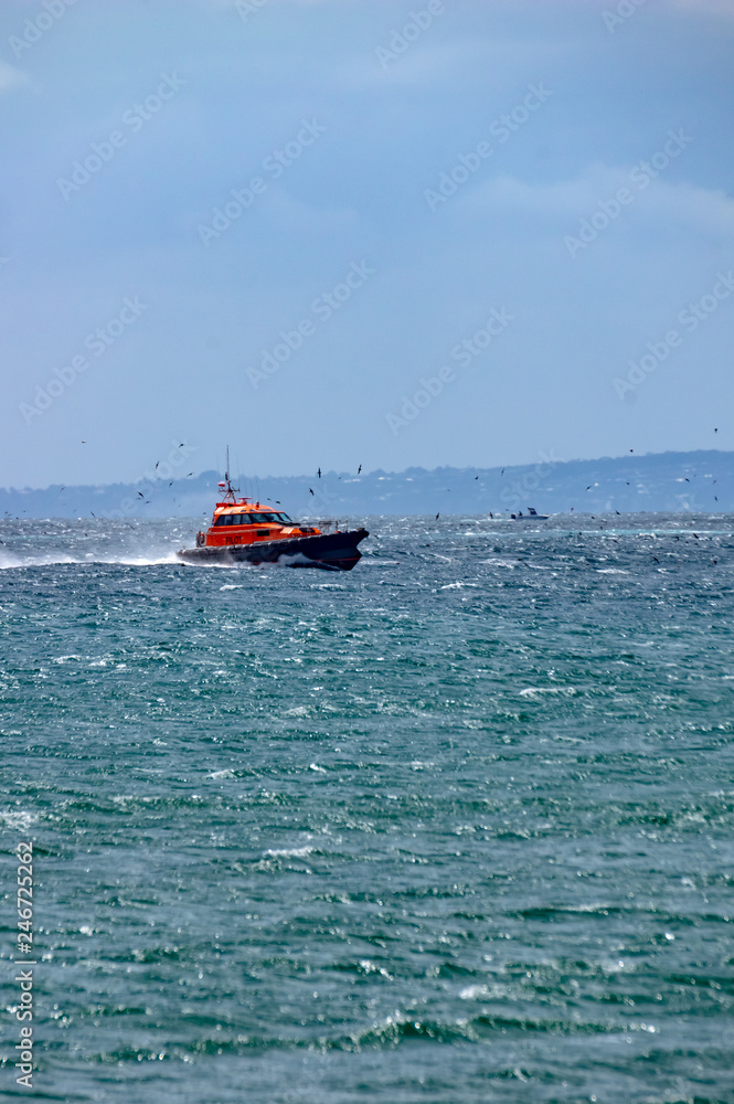 Pilot Boat At Speed vert