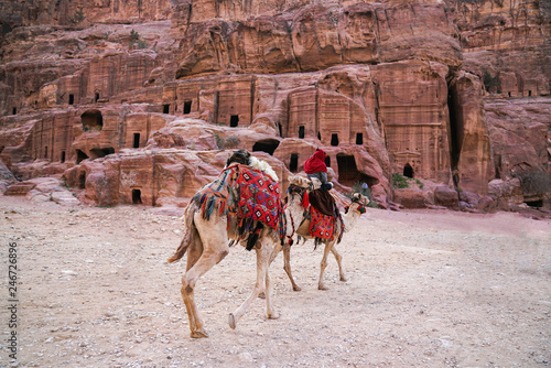 Two camels in an ancient abandoned rock city of Petra in Jordan. © agephotography