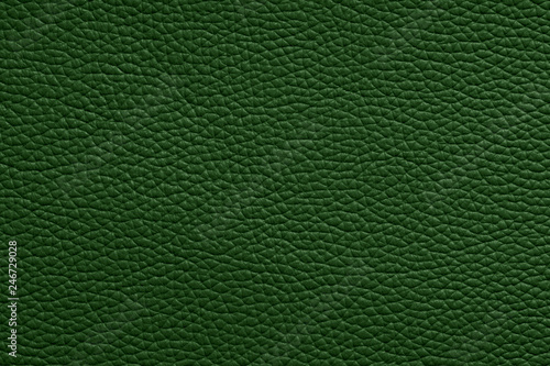 clear empty natural green leather texture