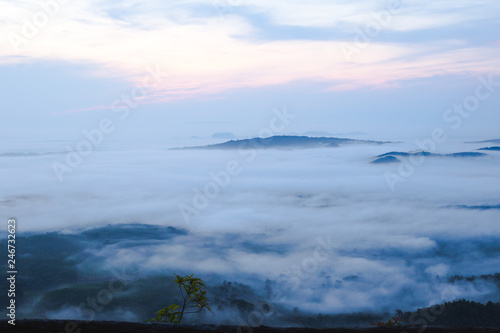 Hill view of ocean fog with small tree in dawn time with rainbow sky
