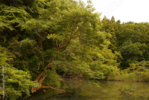 野池 湖沼 沼 池