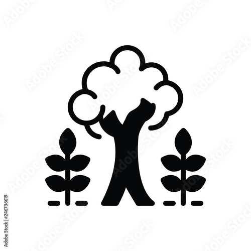 Black solid icon for maturity 