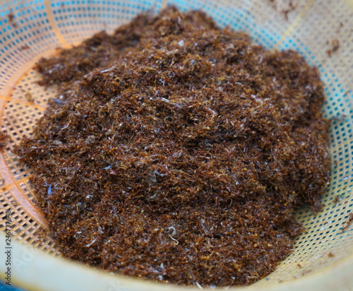 Preah Vihear,Cambodia-January 9, 2019: Weaver ants or tailor ants or Oecophylla smaragdina sold at Preah Vihear Market in Cambodia. Their formic acid is used to add acid taste to foods. photo