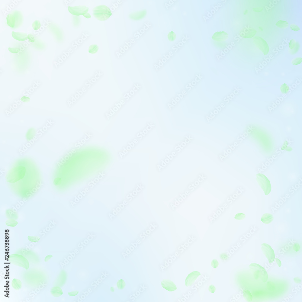 Green flower petals falling down. Precious romanti Green flower petals falling down. Precious romanti