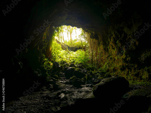 Wallpaper Mural Hawaii Lava Tube Torontodigital.ca