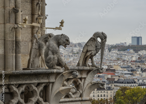 Chimera (Gargoyle) of Notre Dame de Paris