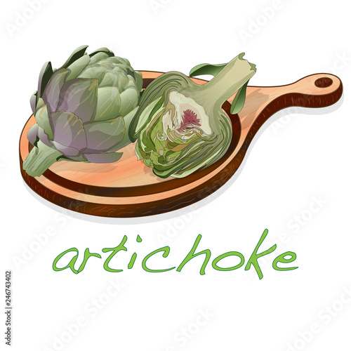 Artichoke on plate vector illustration set. Image isolated on white background.