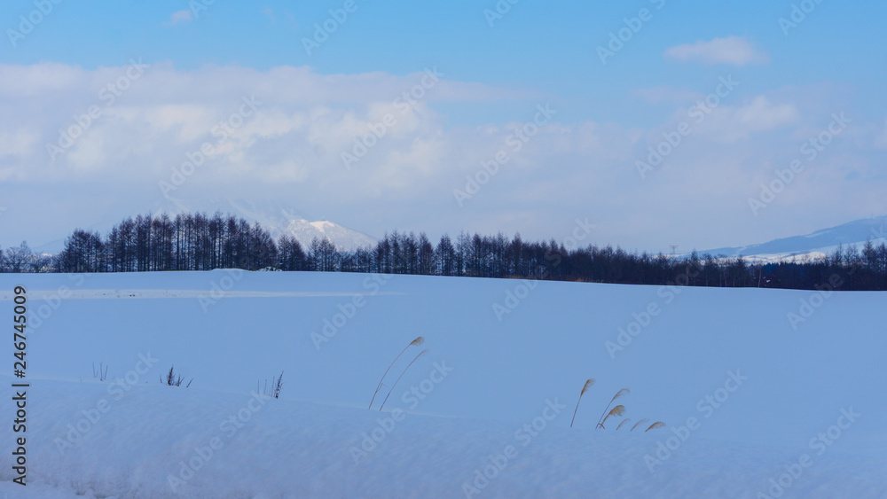 Beautiful Winter Landscape with powder snow on a road in, Hokkaido Japan Beautiful Winter Landscape with powder snow on a road in, Hokkaido Japan