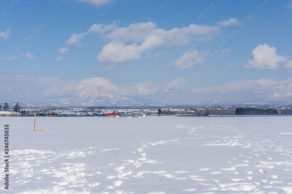 Beautiful Winter Landscape with powder snow on a road in, Hokkaido Japan