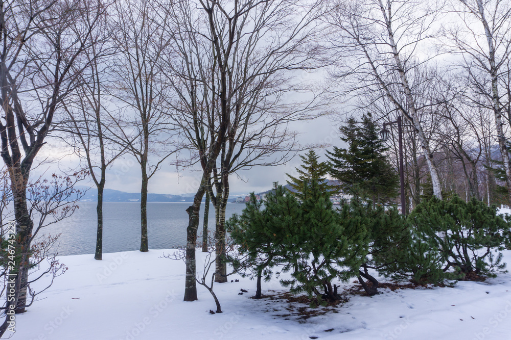 Fototapeta premium Beautiful Winter Landscape with powder snow on a road in, Hokkaido Japan