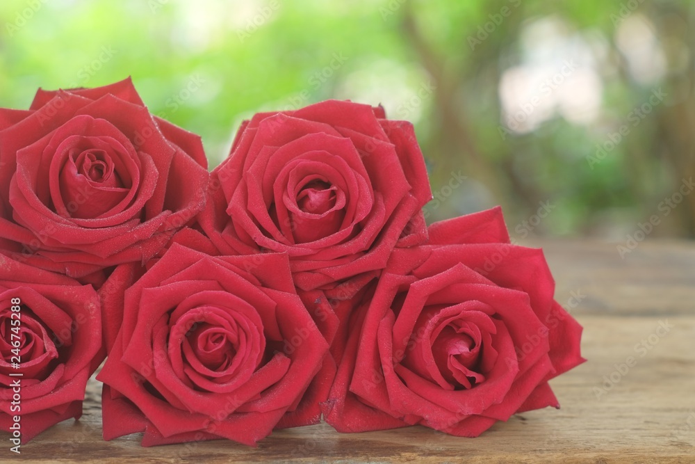 Naklejka premium Group of lovely blooming red color rose flower decorated with petals on wood table background, sweet valentine present concept