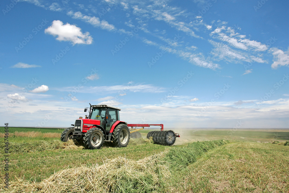 Agriculture - Alfalfa Agriculture - Alfalfa