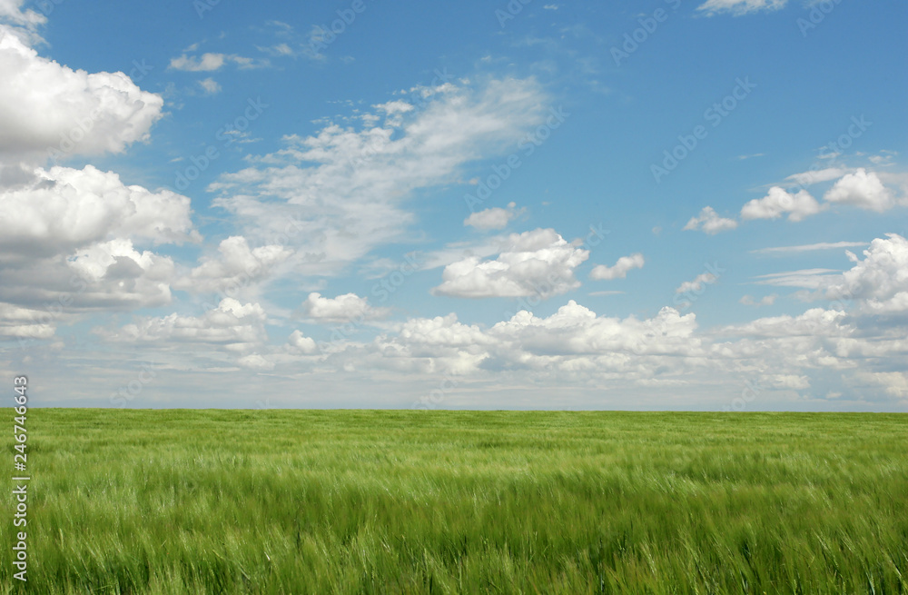 Agriculture - Farmland