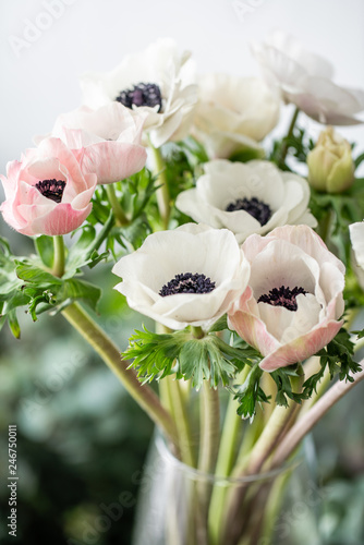 Fotografija pink and white anemones in glass vase