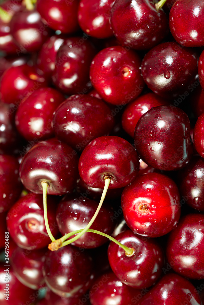 Sweet cherry in water drops Sweet cherry in water drops