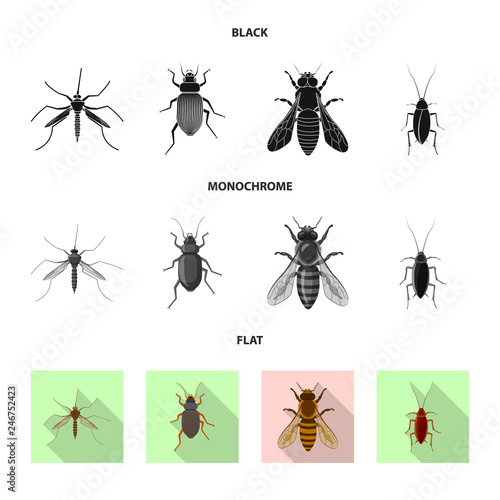 Vector illustration of insect and fly symbol. Collection of insect and element stock symbol for web.