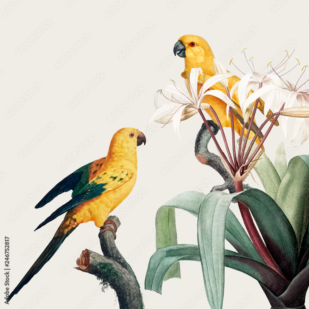 Naklejka premium Ara tropikalna ilustracja