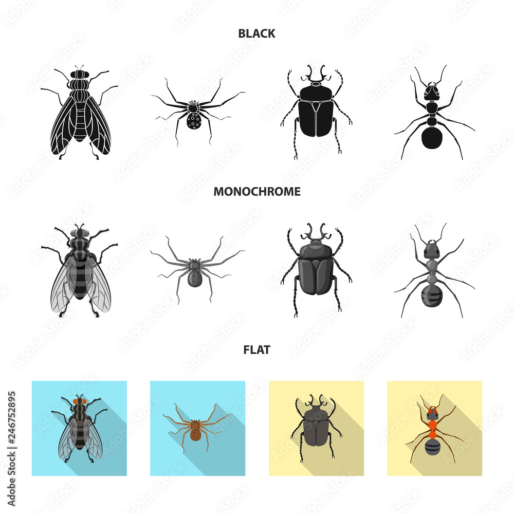 Vector illustration of insect and fly logo. Set of insect and element stock vector illustration. Vector illustration of insect and fly logo. Set of insect and element stock vector illustration.