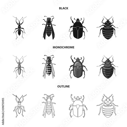 Vector illustration of insect and fly sign. Collection of insect and element vector icon for stock. © Svitlana