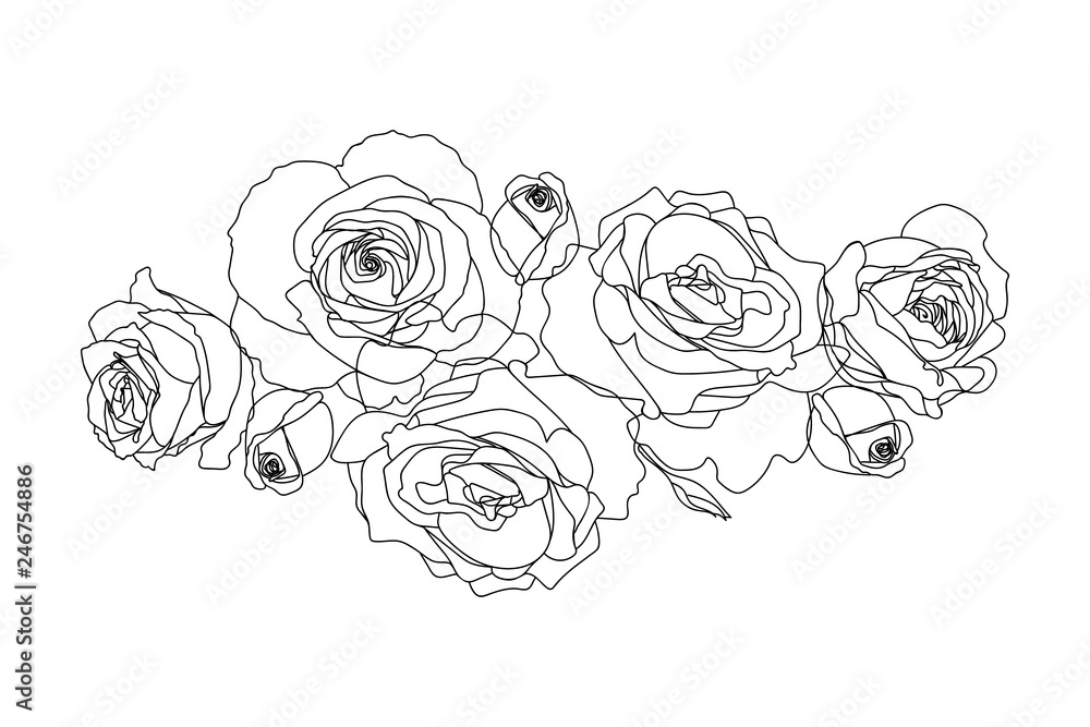 Fototapeta premium Line art of roses. Black isolated on white. T-shirt print design
