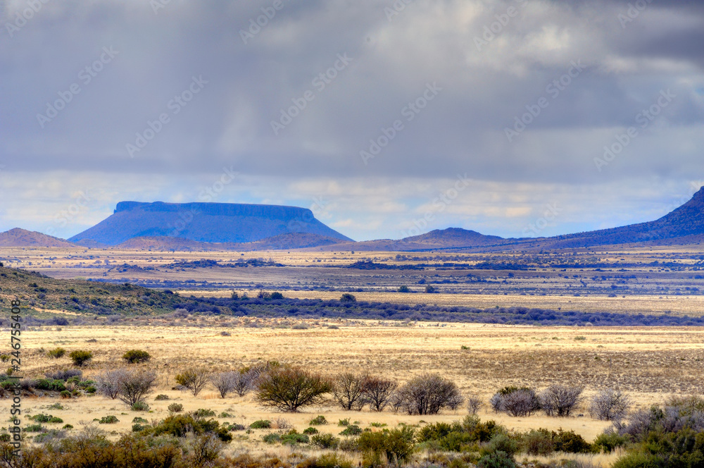 Fototapeta premium KAROO LANDSCAPES, eastern Cape, South Africa