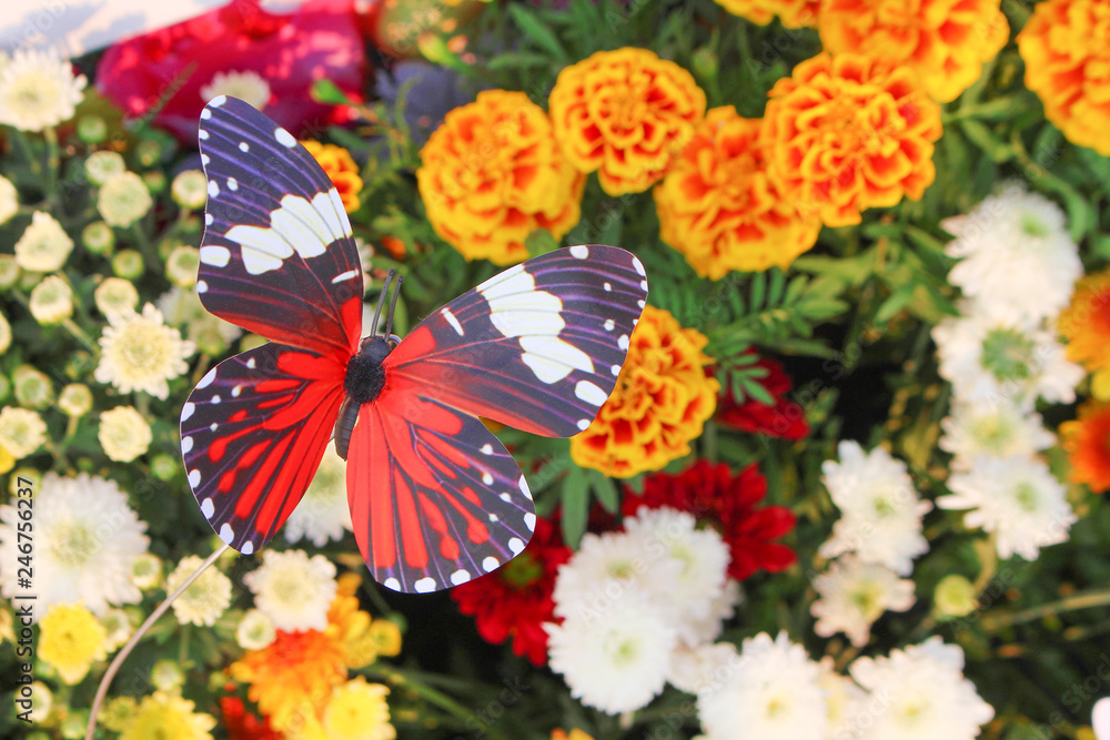 Top view colorful decorative artificial  red with white and black striped butterfly patterns in garden flowers natural for background