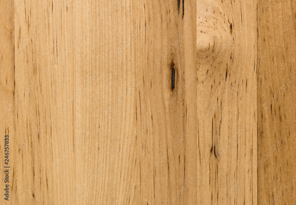 Naklejka premium background of Birch wood surface