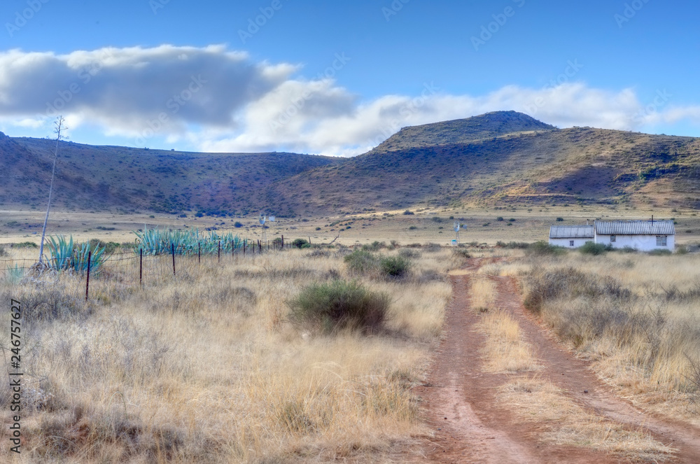 Karoo Landscape, South Africa