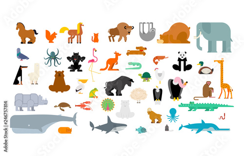 Fototapeta Naklejka Na Ścianę i Meble -  Animals set. Beast collection. cute cartoon animal. jungle and forest Wild nature. Fauna of Different Continents