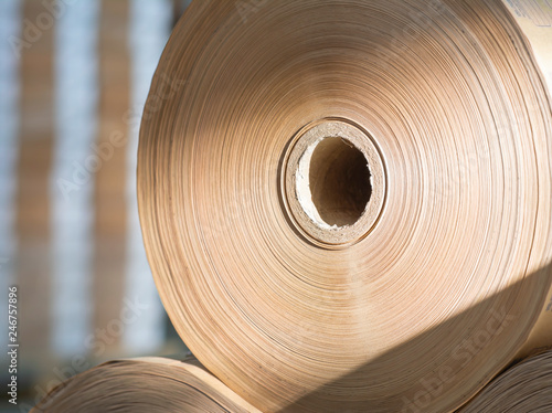 Canvas Print Rolls of yellow paper in print shop. Close-up.