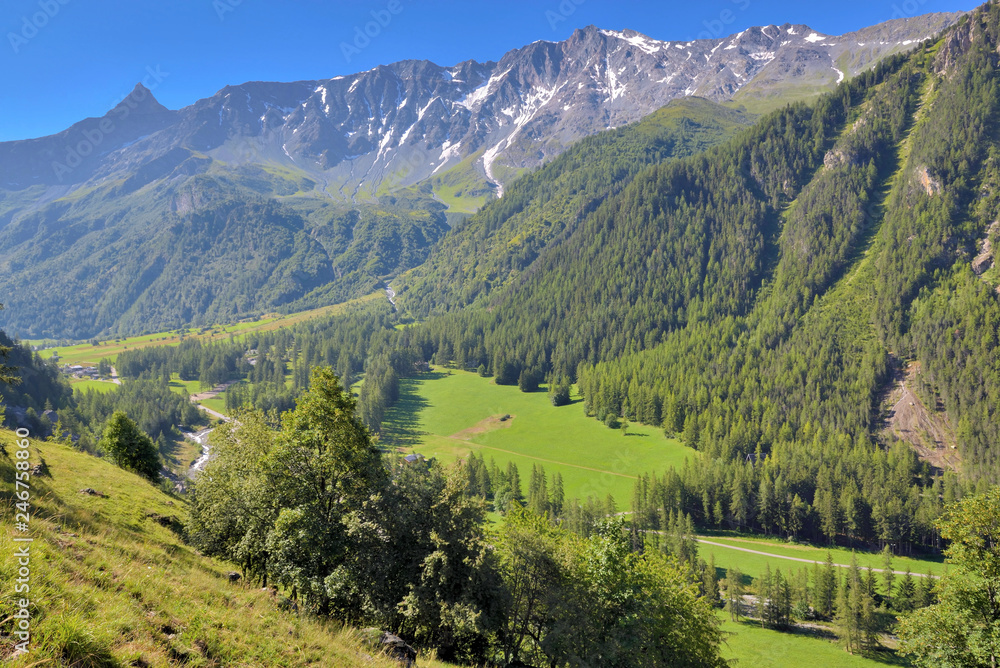 Fototapeta piękny widok na szczyt góry i las we francuskich Alpach