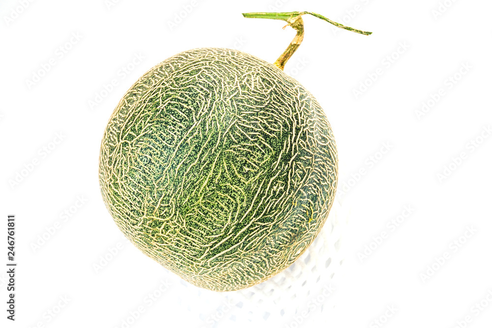 cantaloupe melon on white background,a whole of cantaloupe melon fruits isolated on white background. cantaloupe melon on white background,a whole of cantaloupe melon fruits isolated on white background.