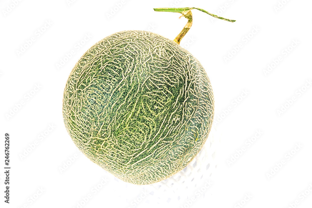 cantaloupe melon on white background,a whole of cantaloupe melon fruits isolated on white background. cantaloupe melon on white background,a whole of cantaloupe melon fruits isolated on white background.