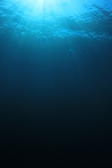Underwater blue background in sea 