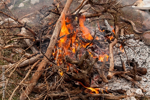  Burn fire in nature. Autumn or winter concept nature walks