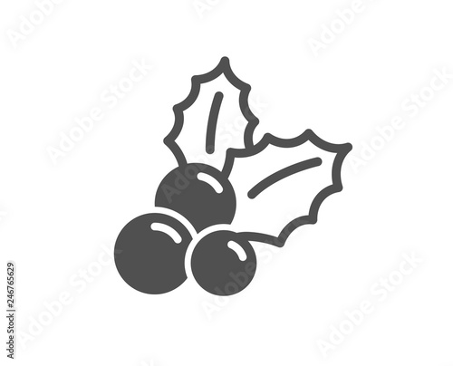 Christmas holly icon. Ilex aquifolium sign. Quality design element. Classic style icon. Vector