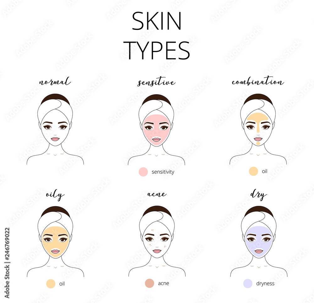 Types of skin, oily, normal, sensitive, acne, dry, normal and