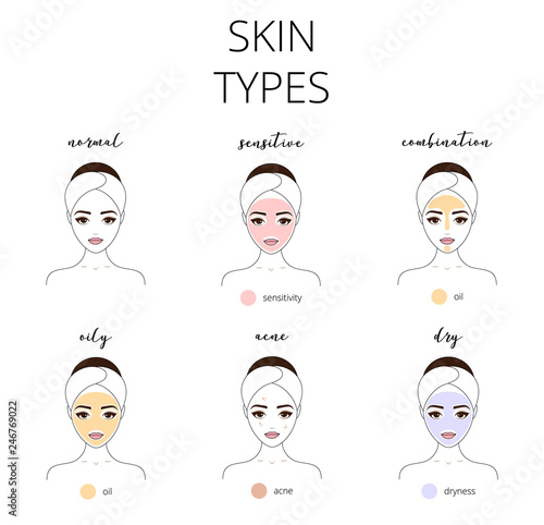 Types of skin, oily, normal, sensitive, acne, dry, normal and combination skins. photo