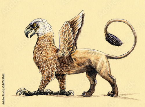 Mystical creature Griffin. Acrylic illustration. Mythological monster. 