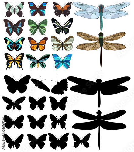 isolated, dragonflies and butterflies, sketch, silhouette in set, collection