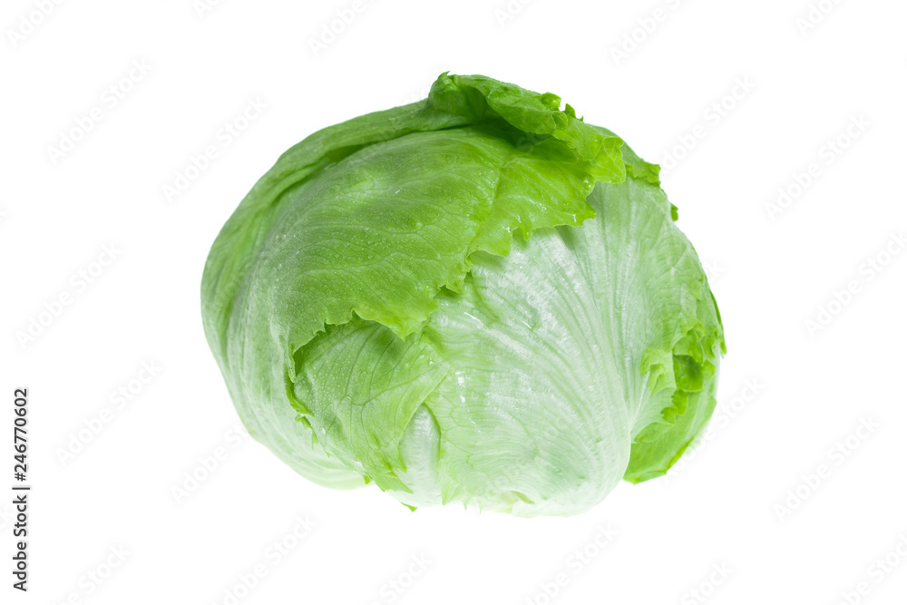 Macro shot of green Iceberg lettuce isolated on white Background Macro shot of green Iceberg lettuce isolated on white Background