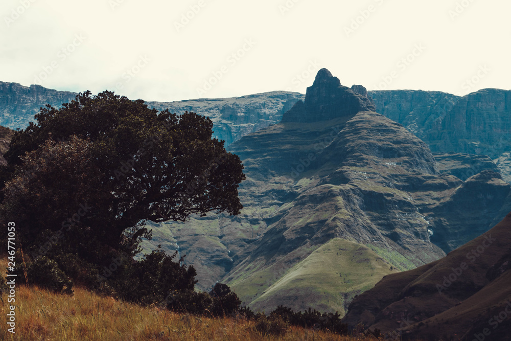 Obraz premium A landscape of the drakensberg mountain range