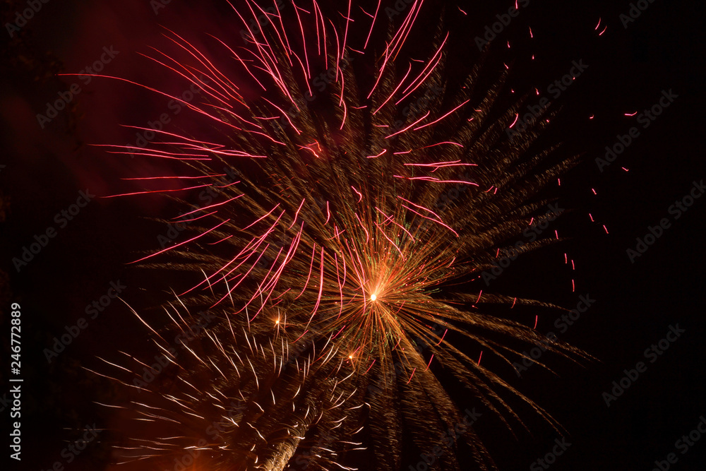 Fototapeta premium fireworks in the night sky