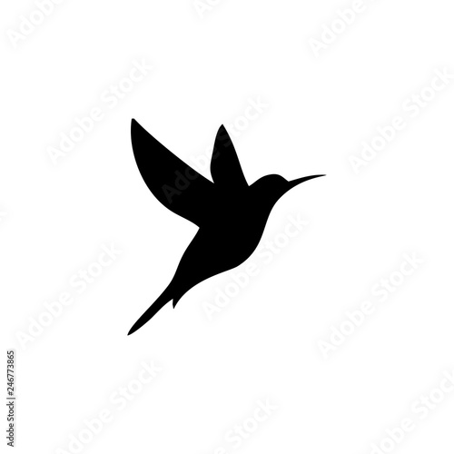 hummingbird icon logo © Reni