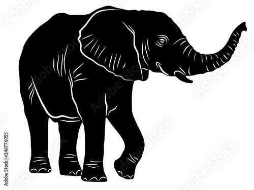 illustration of elephant, vector drawing