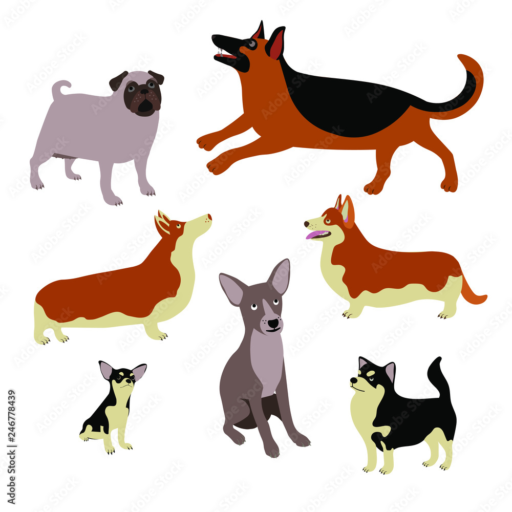 Cartoon dogs of different breeds and sizes. Cute vector animals on a white background. Pug dog, Sheep dog, Welsh Corgi, Chihuahua, mongrel